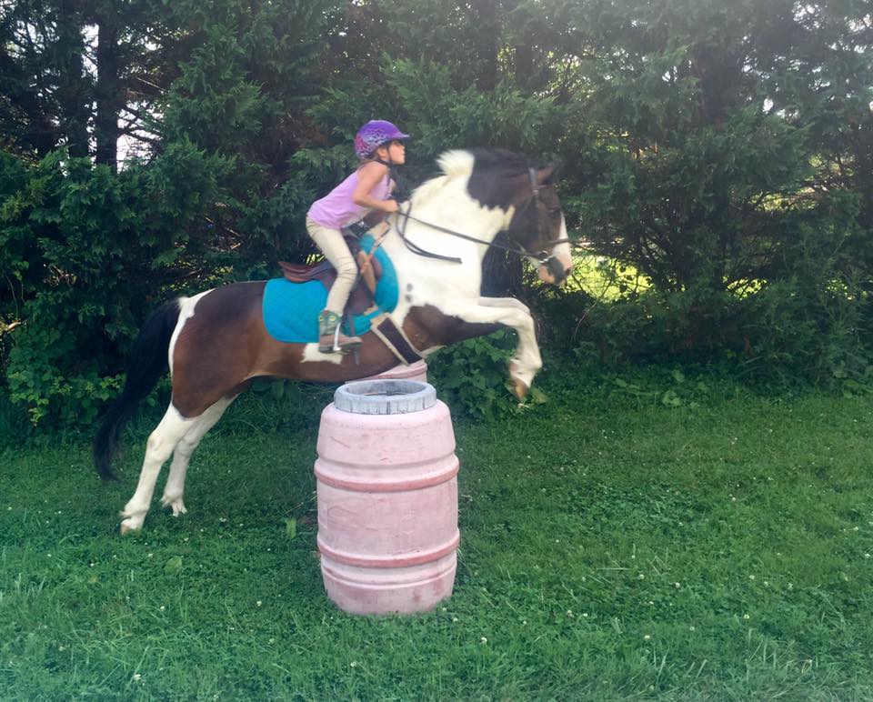 Horse Camp | On Course Equestrian Services